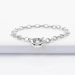 Bracelet chaine fermoir marin argent