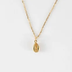 Pendentif coquillage cauri plaqué or 10 mm