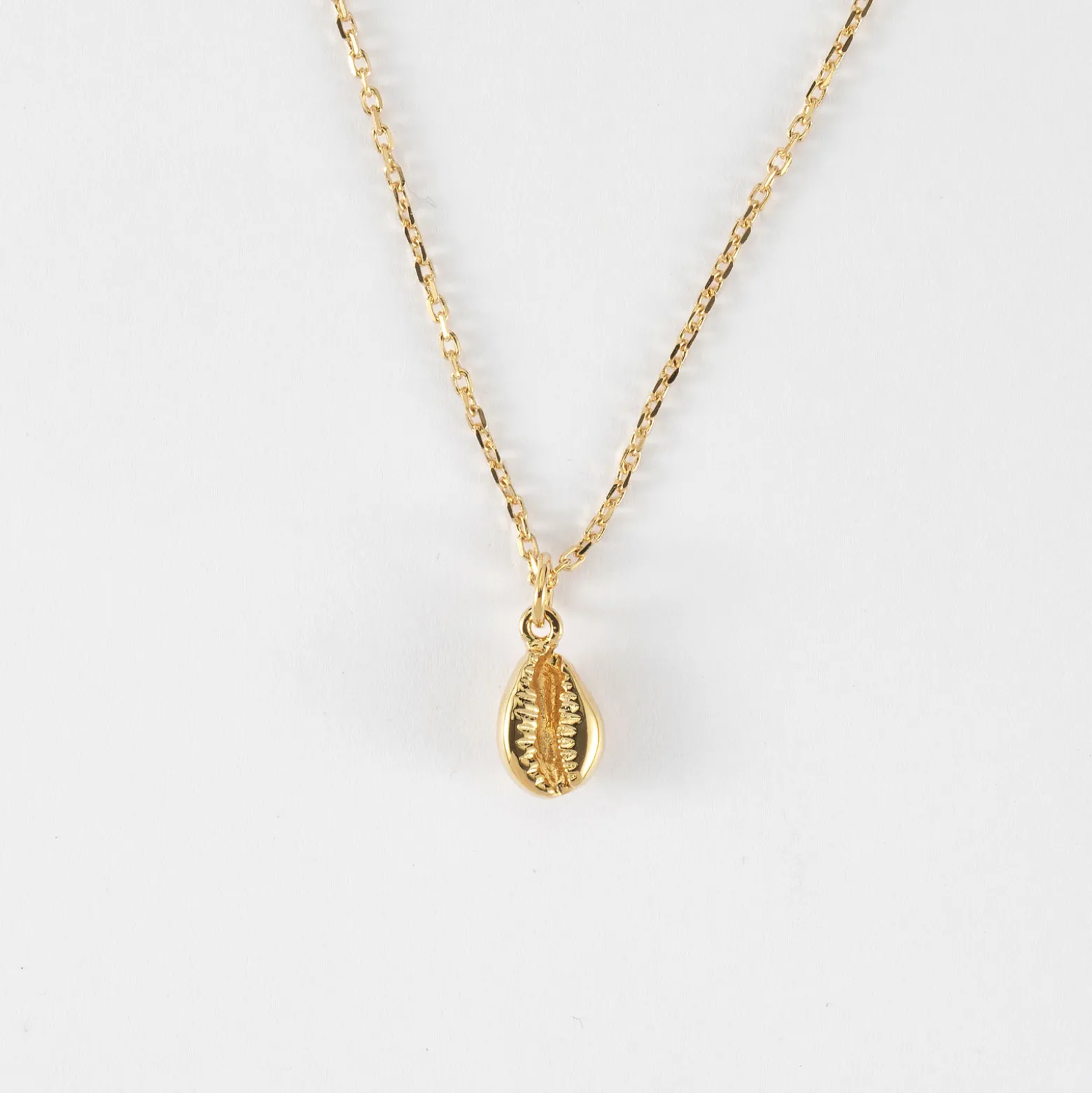 Pendentif coquillage cauri plaqué or 10 mm