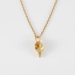 Pendentif enfant coquillage scalaire plaqué or 12 mm